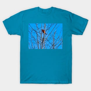 Red Cardinal in a bare Tree T-Shirt